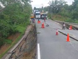 Greenpeace Desak Pemerintah Hentikan Sementara Proyek IKN: Bencana Ekologis Mengintai di Balik Ambisi Megaproyek